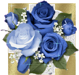 superbes ces roses bleues !